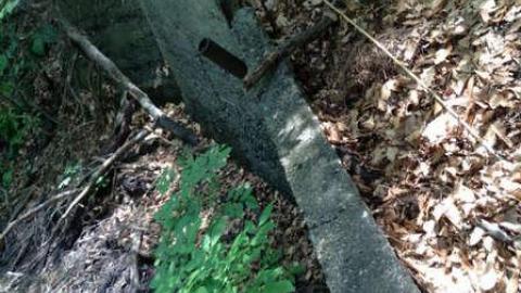 Wonderland Gardens Pool - Wonderland-Gardens-Swimming-Pool15.jpg