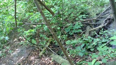 Wonderland Gardens Pool - Wonderland-Gardens-Swimming-Pool17.jpg