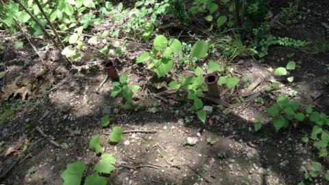 Wonderland Gardens Swimming Pool photo 5