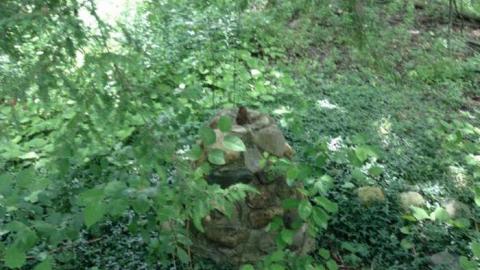 Wonderland Gardens Pool - Wonderland-Gardens-Swimming-Pool19.jpg