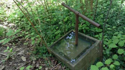 Wonderland Gardens Pool - Wonderland-Gardens-Swimming-Pool20.jpg