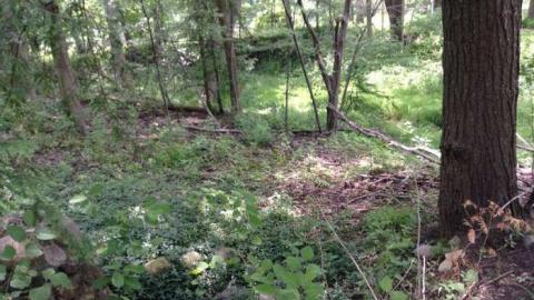 Wonderland Gardens Pool - Wonderland-Gardens-Swimming-Pool21.jpg