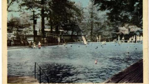 Wonderland Gardens Pool - Wonderland-Gardens-Swimming-Pool22.jpg