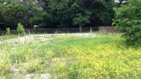 Brick Street Public School - Brick-St.-School11.jpg