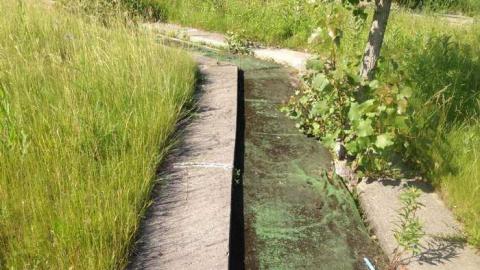 June 28 2014 - Hole-In-One22.jpg