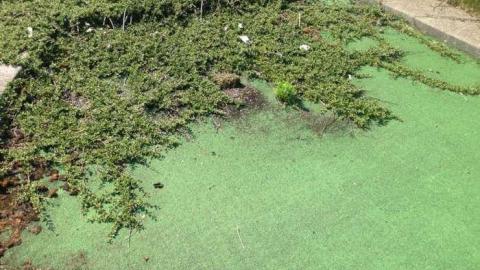 June 28 2014 - Hole-In-One25.jpg