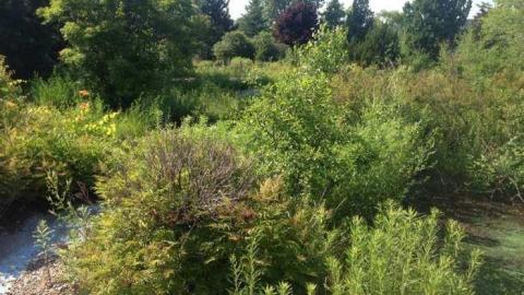 June 28 2014 - Hole-In-One26.jpg