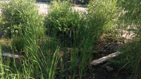 June 28 2014 - Hole-In-One33.jpg