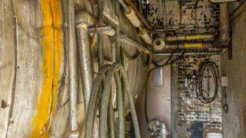 Hogtown Takedown photo 2