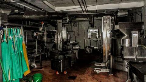 Hogtown Takedown photo 4