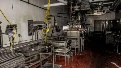 KILLING FLOOR RECON - Little Piggies-06662.jpg