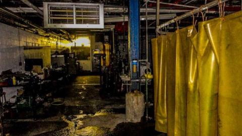 Hogtown Takedown photo 3