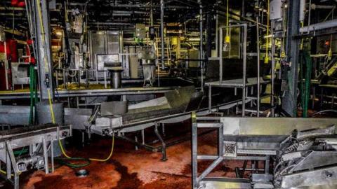 KILLING FLOOR RECON - Little Piggies-06680.jpg