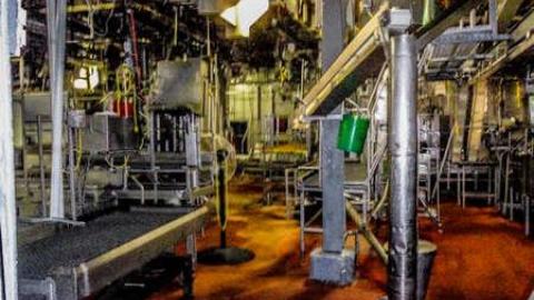 KILLING FLOOR RECON - Little Piggies-06685.jpg