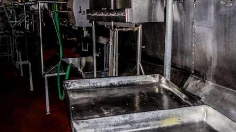 KILLING FLOOR RECON - Little Piggies-06687.jpg