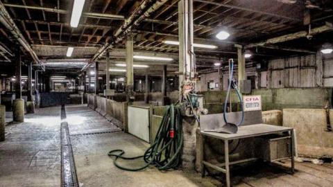 KILLING FLOOR RECON - Little Piggies-06698.jpg