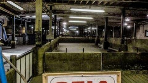 KILLING FLOOR RECON - Little Piggies-06699.jpg