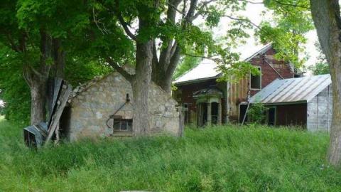 June 2014 - P1150766.jpg