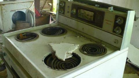 June 2014 - P1150774.jpg