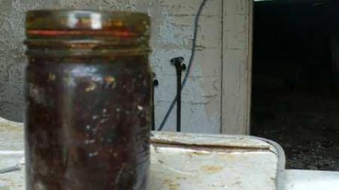 June 2014 - P1150783.jpg