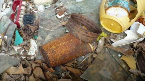 June 2014 - P1150784.jpg