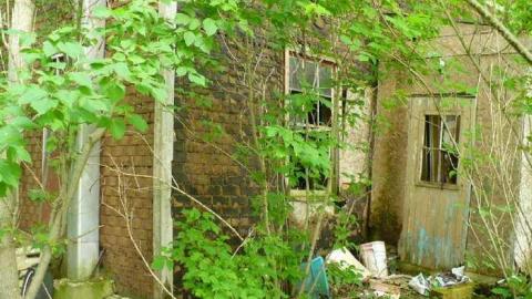 Stinky - P1150807.jpg