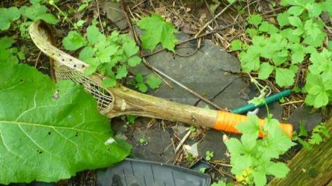 Stinky - P1150814.jpg