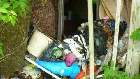 Stinky - P1150815.jpg