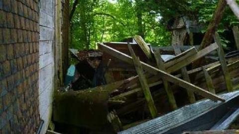 Stinky - P1150819.jpg