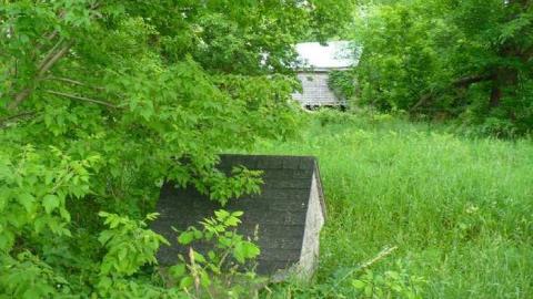 Stinky - P1150820.jpg