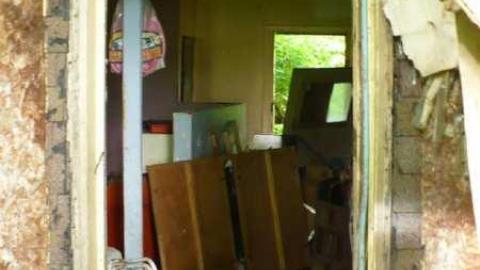 Stinky - P1150821.jpg