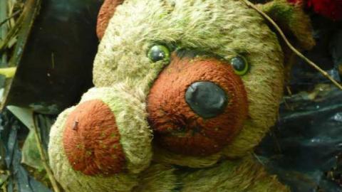 Stinky - P1150826.jpg