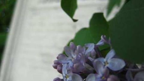 Bradford Cemetary - Middletown-Pioneer-Cemetery2.jpg
