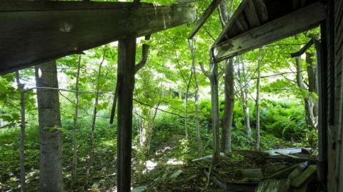 Colt House - Perth East, Ontario