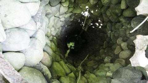 Lost to the World - XD5A6819.jpg