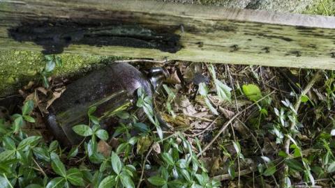 Lost to the World - XD5A6868.jpg