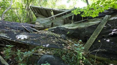 Lost to the World - XD5A6883.jpg