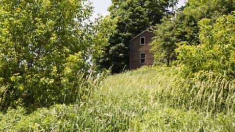 Lost to the World - XD5A6903.jpg