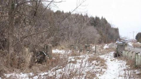 Conlin Road Bridge photo 3