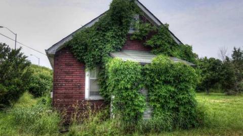 HMV ~ His Masters Vinyl - HMV-.jpg