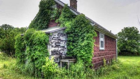 HMV ~ His Masters Vinyl - HMV--2.jpg