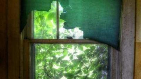 HMV ~ His Masters Vinyl - HMV--9.jpg