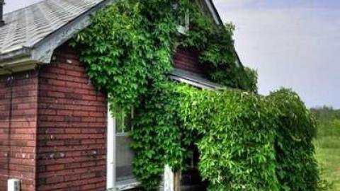 HMV ~ His Masters Vinyl - HMV--11.jpg