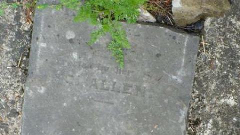 The Legend of Mary Rutherford photo 2