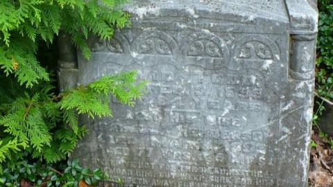 The Legend of Mary Rutherford photo 3