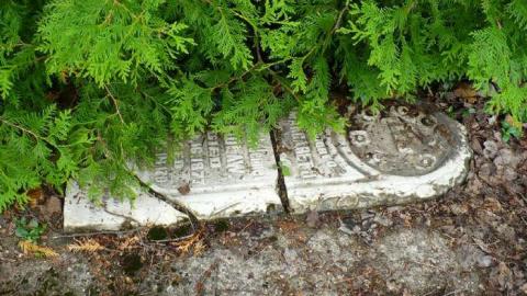 Witchy Woman - The-Legend-of-Mary-Rutherford12.jpg