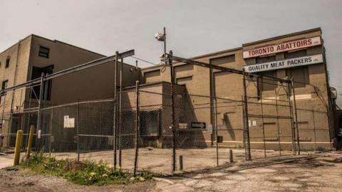 Cameras/Security - piggies-2412.jpg