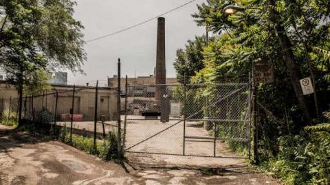 Cameras/Security - piggies-2415.jpg