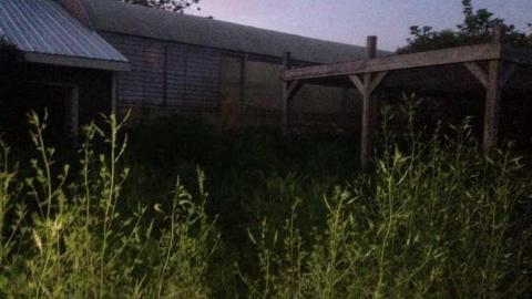 June 29 2014 - European-Wicker-Imports101.jpg