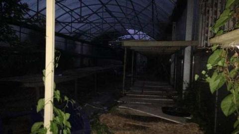 June 29 2014 - European-Wicker-Imports102.jpg